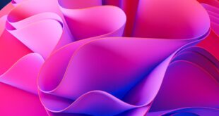 AI image generation tools