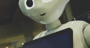 Fine-tuning AI models