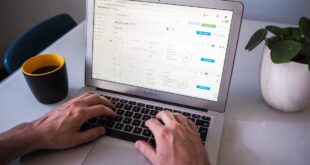 Perplexity AI search engine