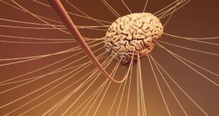 Transformer architecture neural network