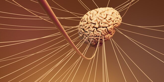 Transformer architecture neural network